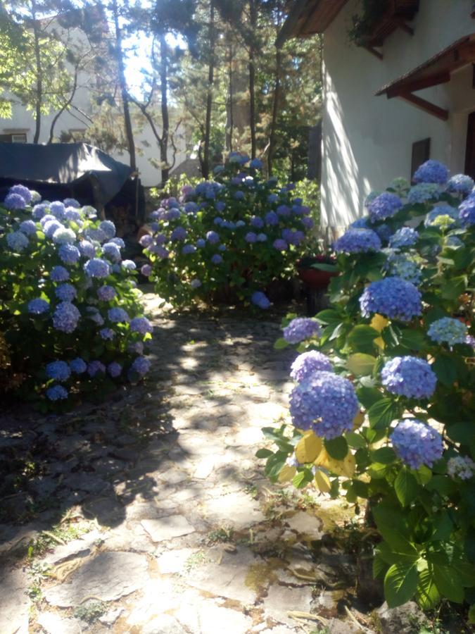Bed and Breakfast Al Castagno Vico Equense Zewnętrze zdjęcie